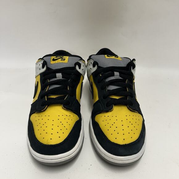 Nike SB Dunk Low Pro “BIC” 304292-701 main image 9